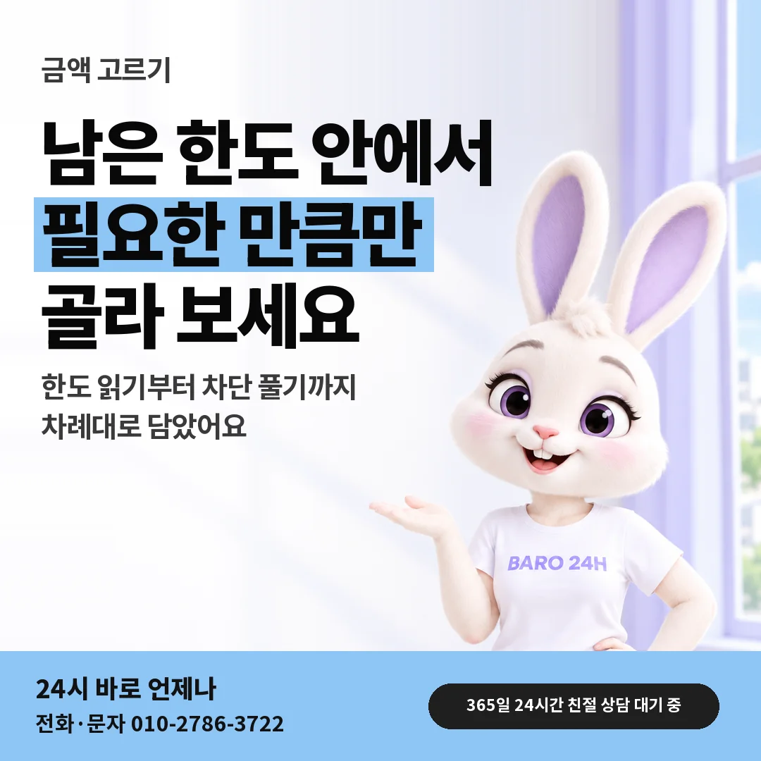 BARO 24H 티셔츠를 입은 3D 토끼 캐릭터 옆에 「금액 고르는 안내서」 제목을 얹은 안내 카드